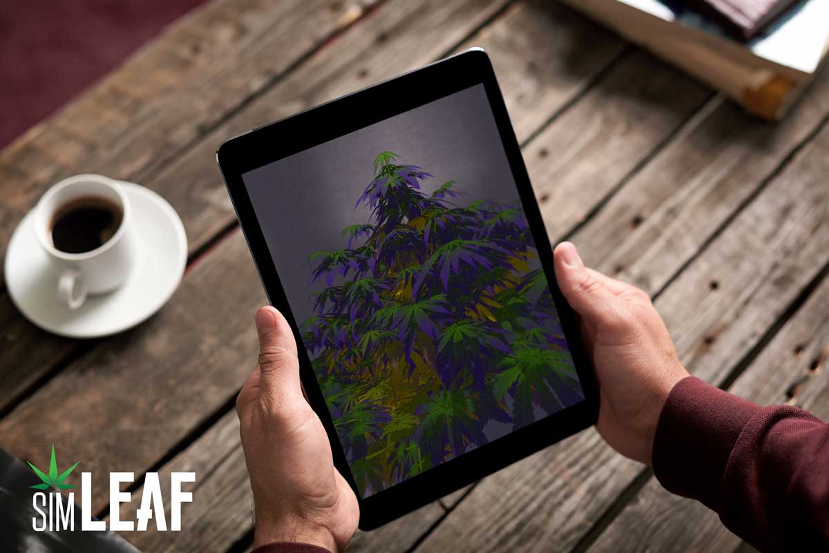 Best Apps For Cannabis Entrepreneurs